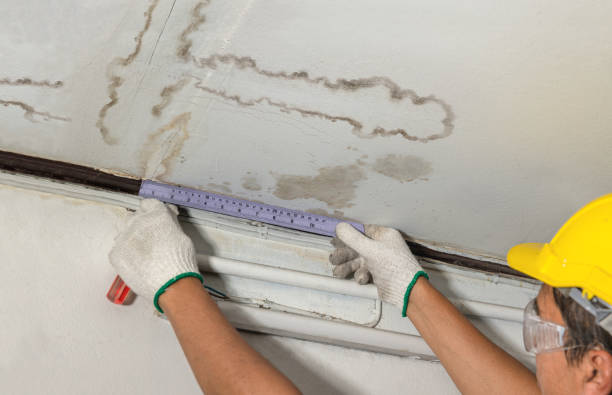 Reliable Water Damage contractor in Troy, MI by Water Damage Irwin